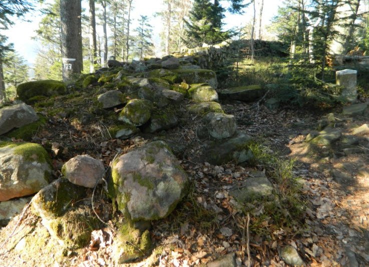 Château du Petit-Ringelstein, Oberhaslach, France